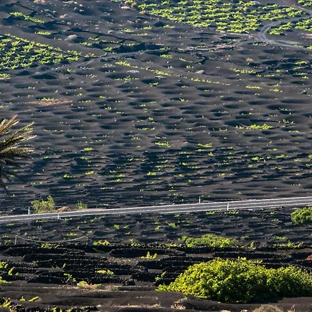 Home2book Modern Puerto Del Carmen, Terrace Apartmán Puerto del Carmen (Lanzarote)
