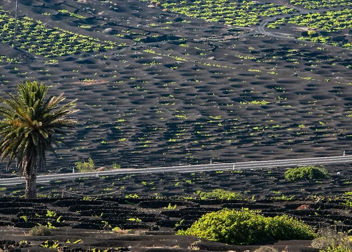 Home2book Modern Puerto Del Carmen, Terrace Lejlighed Puerto del Carmen (Lanzarote)