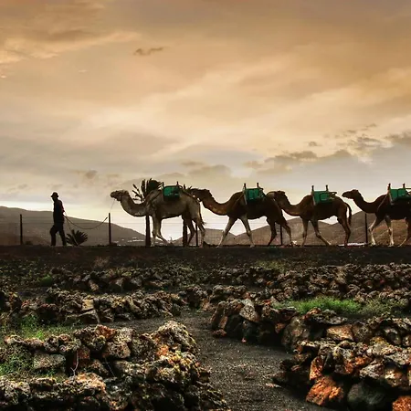 Home2book Modern Puerto Del Carmen, Terrace Apartment Puerto del Carmen (Lanzarote)