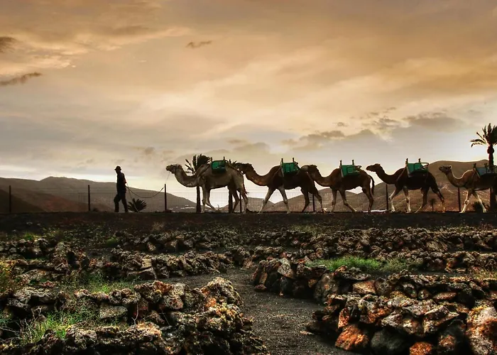 Home2book Modern Puerto Del Carmen, Terrace Apartamento Puerto del Carmen (Lanzarote)